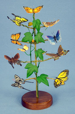 Insects and Butterflies: Richard Peterson