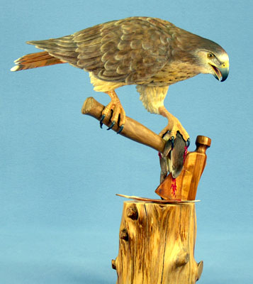 Birds of Prey: Bruce Edwards