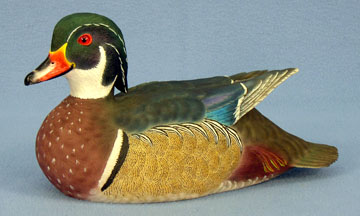 Waterfowl - Ducks, Loons, Geese, Swans: Richard Peterson
