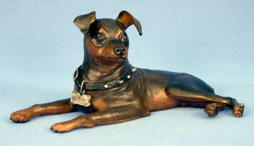 Domestic Animals: Jamie Rogness
