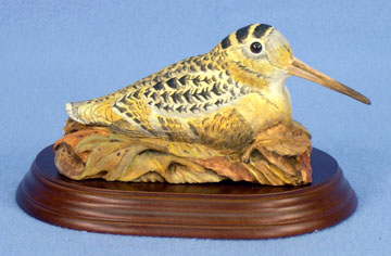 Instructor Assisted Birds: Mary Lou Snyder