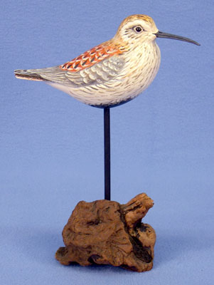 Instructor Assisted Decoys: Mary Lou Snyder